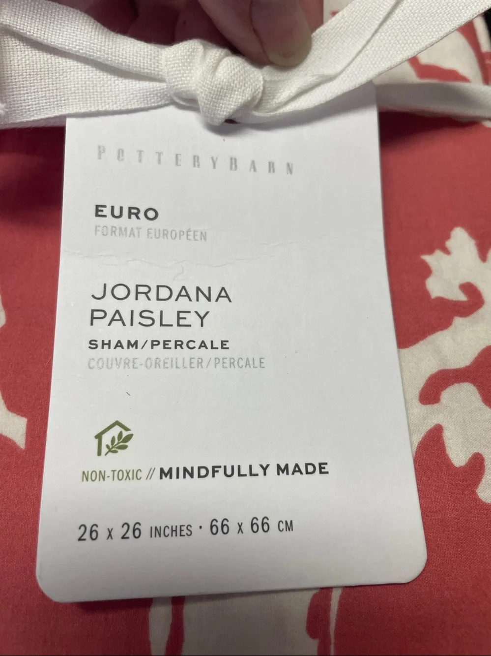 Pottery Barn Jordana Paisley Percale Euro Sham.  Set of 2. New!